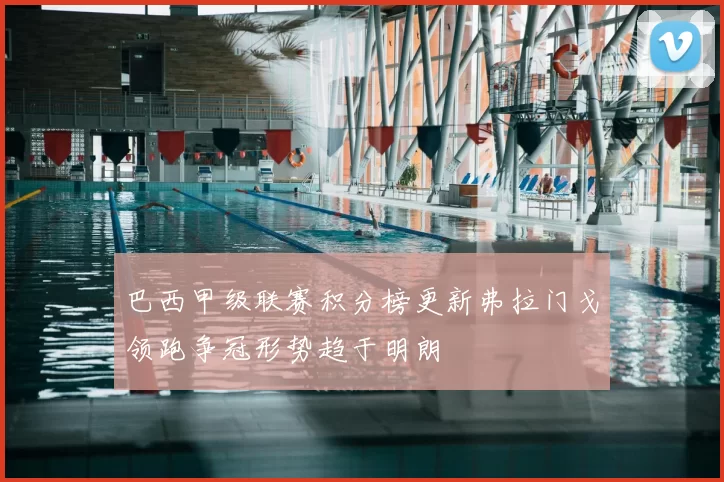 巴西甲级联赛积分榜更新弗拉门戈领跑争冠形势趋于明朗